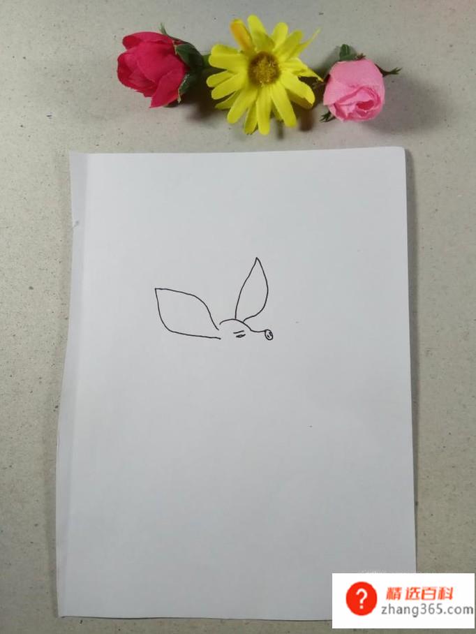 怎样画简笔画猪八戒(怎样画猪八戒)