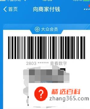 支付宝怎么使用(支付宝已经成了我们生活中不可缺少的APP之一)