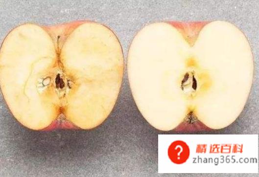 苹果切开后为什么切口会变成褐色(苹果切开后变成褐色是什么原因造成的)
