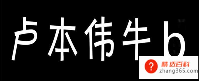 卢本伟牛b是什么梗(LOL职业选手卢本伟有哪些)