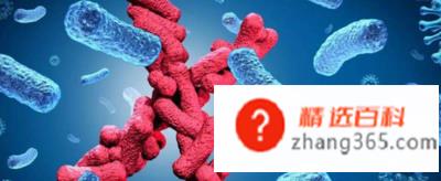 腔梗是怎么回事?