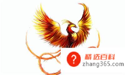 世界上有没有凤凰存在