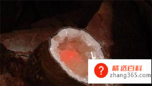 常见假化石的识别与鉴定(一块化石过于完整到了完美的地步)