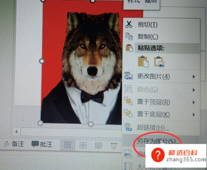 如何给证件照换底色；怎么快速更换证件照底色