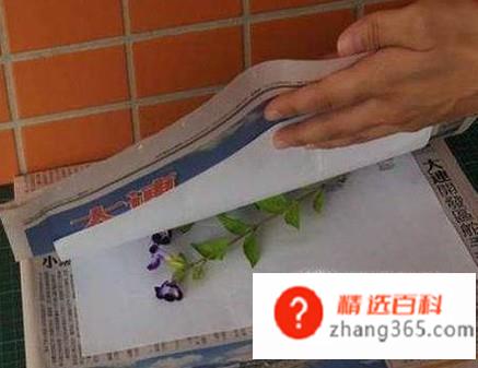 小标本怎么做