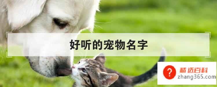 好听的宠物名字