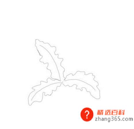 蒲公英的简笔画(简笔画蒲公英是怎么画的)