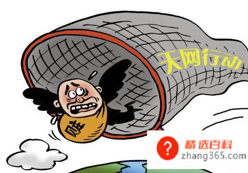 怎么查网上在逃人员(在逃人员有哪些操作方法)