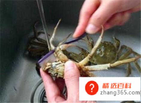 教你怎样洗螃蟹(教你清洗螃蟹的正确方法)