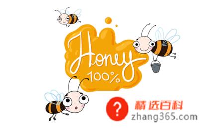 honey什么意思(honey到底是什么意思)