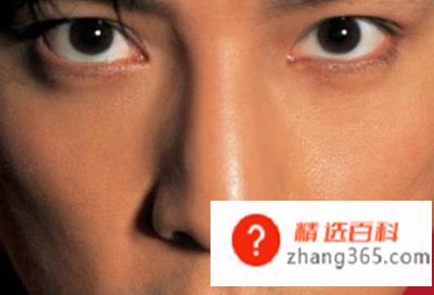 人的鼻子为什么是软骨