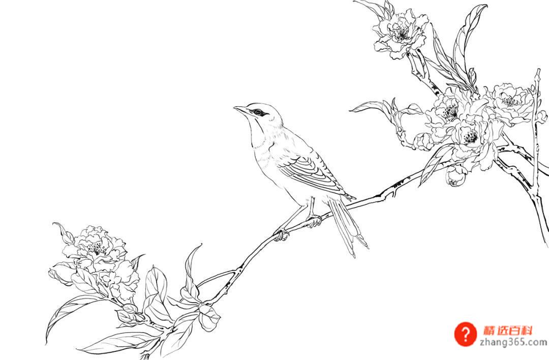白描手法的特点以及白描绘画的三大要素