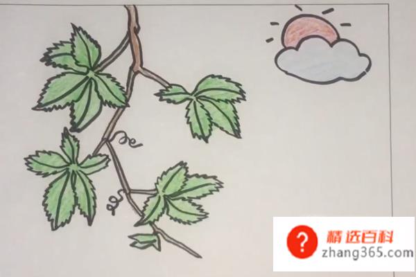 爬山虎怎么画(爬山虎的简笔画操作方法)