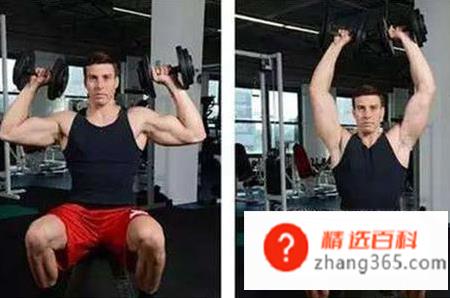 哑铃锻炼方法图解——收藏版(哑铃该怎么使用吗操作方法)