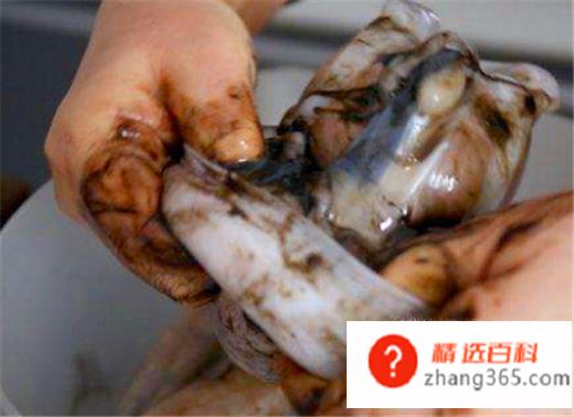 八爪鱼怎么清洗(清洗八爪鱼的时候要先用清水冲洗)