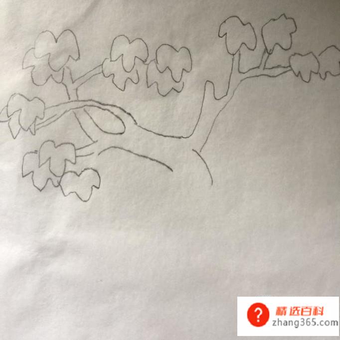 简单大树的手绘画法(如何画出大树左边的枝叶)