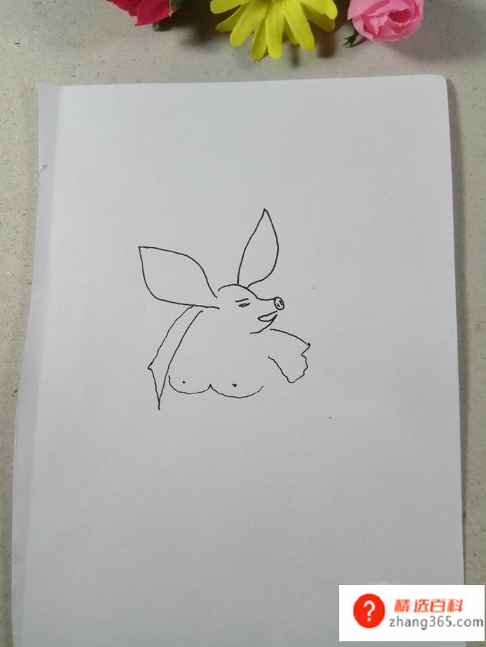 怎样画简笔画猪八戒(怎样画猪八戒)