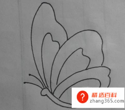 如何画一个简单蝴蝶(怎么画一个简单的蝴蝶)