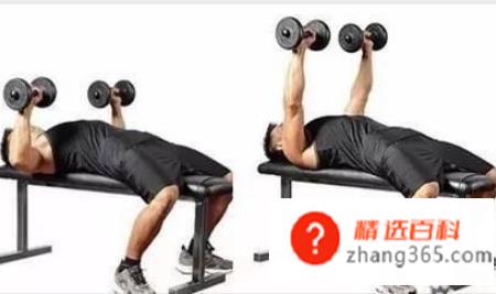 哑铃锻炼方法图解——收藏版(哑铃该怎么使用吗操作方法)