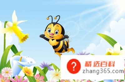 honey什么意思(honey到底是什么意思)
