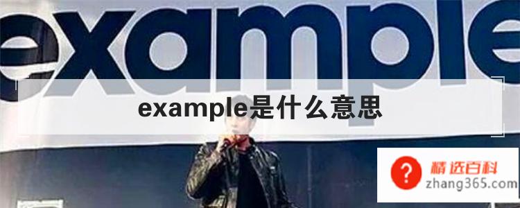 example是什么意思(Example作为名词的时候意思)