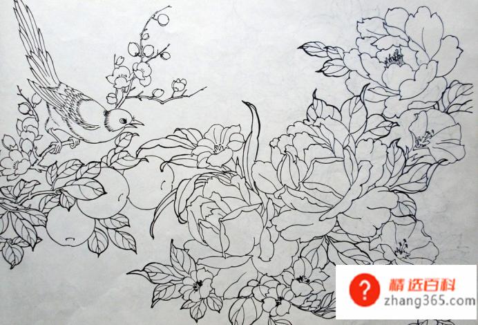 白描手法的特点以及白描绘画的三大要素