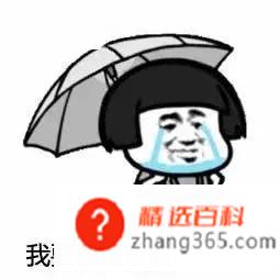 爱的魔力转圈圈是什么梗(2019.01.00)