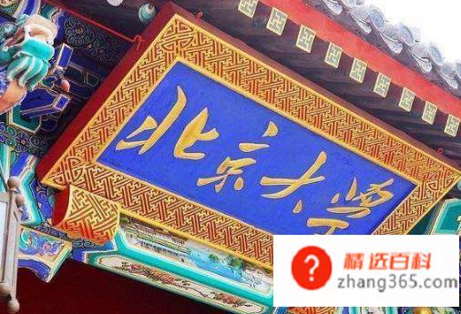 大学有什么专业