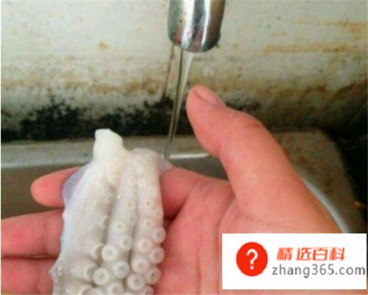 八爪鱼怎么清洗(清洗八爪鱼的时候要先用清水冲洗)