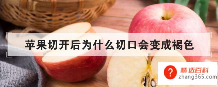 苹果切开后为什么切口会变成褐色(苹果切开后变成褐色是什么原因造成的)