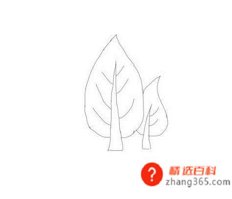 简笔画树林的画法