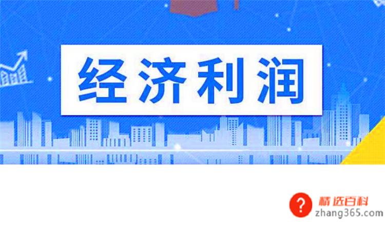 净资产是什么(净资产指的是企业的哪方面资产)