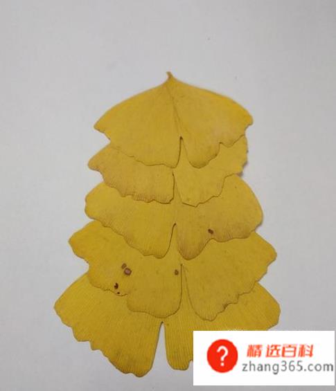用树叶贴画的方法与步骤(枫叶和小花小草的操作方法)