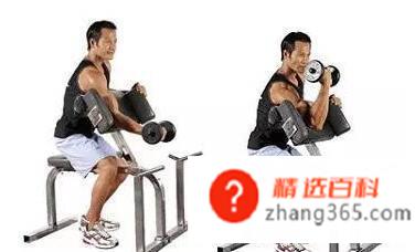肱二头肌内侧怎么练,肱二头肌内侧锻炼注意事项