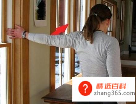 什么是圆肩驼背(圆肩驼背是怎么形成的)