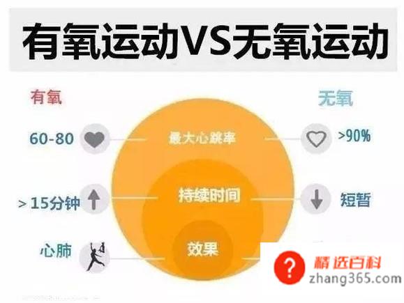 无氧运动有哪些(常见的无氧运动项目有哪些)