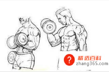 哑铃锻炼方法图解——收藏版(哑铃该怎么使用吗操作方法)