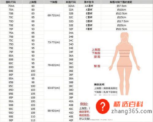胸围怎么测量(测量胸围的操作方法有哪些)