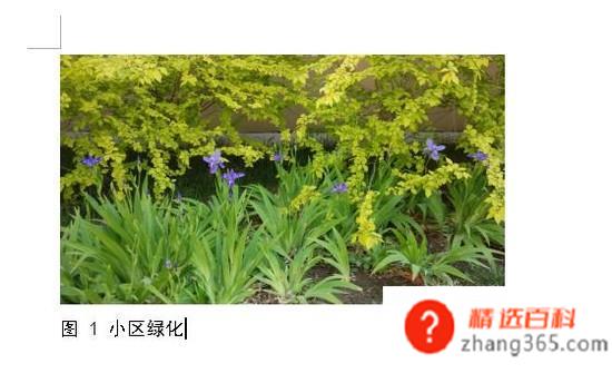 文档如何插入题注和引用图注？