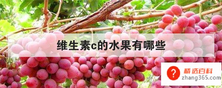 维生素c的水果有哪些