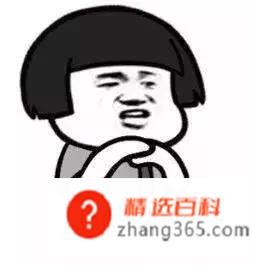 爱的魔力转圈圈是什么梗(2019.01.00)