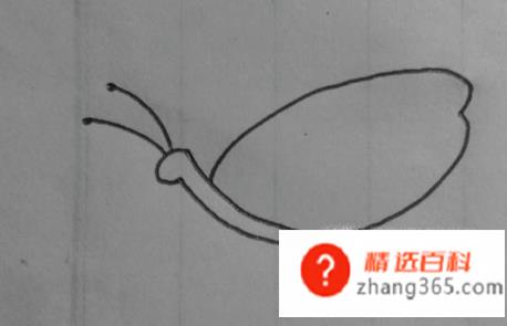 如何画一个简单蝴蝶(怎么画一个简单的蝴蝶)