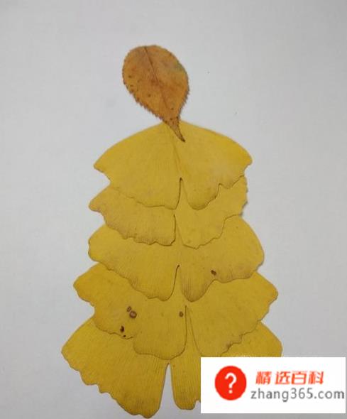 用树叶贴画的方法与步骤(枫叶和小花小草的操作方法)
