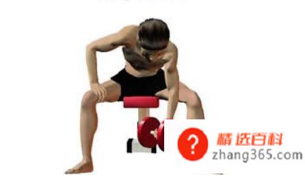 肱二头肌内侧怎么练,肱二头肌内侧锻炼注意事项