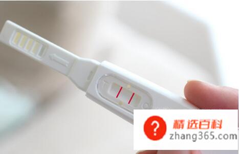 测孕棒怎么看图解