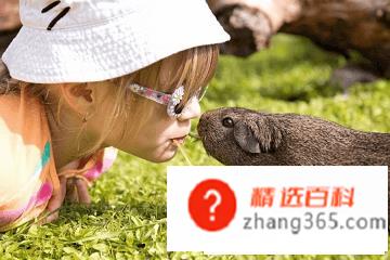 女孩取名带玥字好听洋气(玥字洋气女孩子好名字大全)