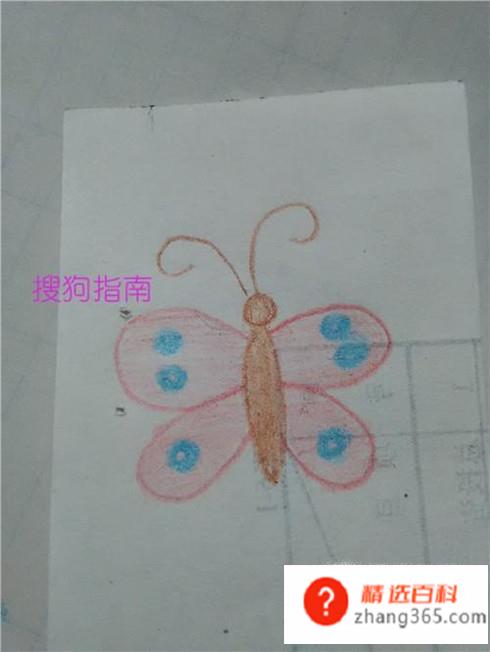 简笔画彩色的蝴蝶怎么画