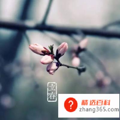 2020年2月4号立春是几点钟(01)