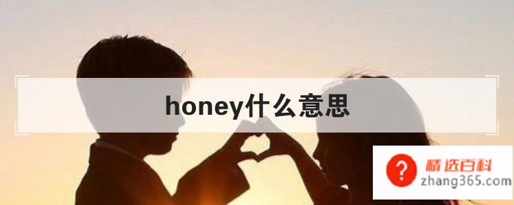 honey什么意思(honey到底是什么意思)