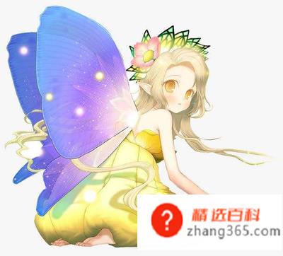 fairy是什么意思?